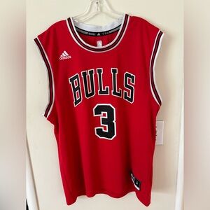 COPY - Dwayne Wade Bulls Jersey